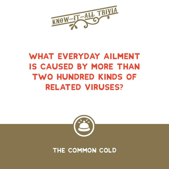 That Rings a Bell! Game: Know-It-All Trivia