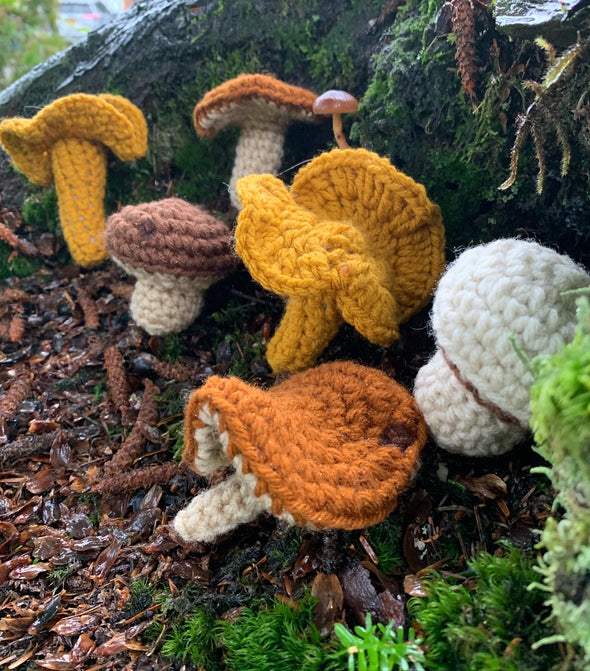 Postcard: Southeast Mushrooms