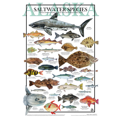 Saltwater Species Print