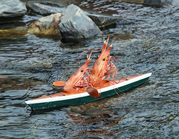 Kayaking Shrimp Card